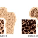선단경희의원 이미지