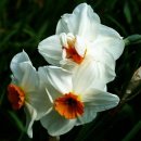 토닥토닥 이미지