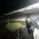 고지주유소 이미지