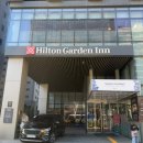 준타워, 힐튼 가든 인 서울 강남, 가든비스트로 | [서울 양재] 힐튼 가든 인 서울 강남 &#39;가든 비스트로&#39; 런치 뷔페 후기 / 가성비 뷔페 추천, 25년 1...