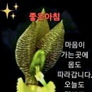 생활풍수 이미지