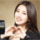 경보 골드 이미지