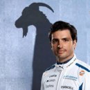 명진동물병원 | 10월 돌아보기