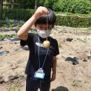 신촌초등학교 이미지