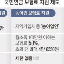[단독] 월소득 100만원 미만 지역가입자, 내년부터 국민연금 50% 지원 전망 이미지