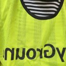 신안동 보조경기장 앞 | 상암 월드컵경기장 축구 브라질전 인형탈 알바 후기