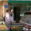 섬진강다슬기 이미지