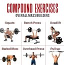 피지컬 박스 PT 이미지