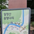 천내교 네이버블로그
