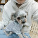 올킹 티스토리