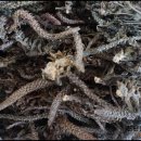 소은농장 이미지