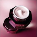 엡솔루트 이미지