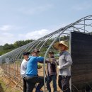 훈이네농장 이미지