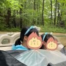 여우비112 이미지