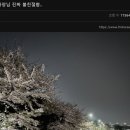 우리세탁소 이미지