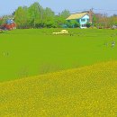 학암농장 Daum카페