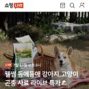 썸커머스 이미지