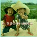 햇살팜