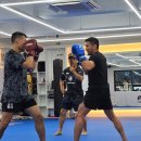 강경호짐 이미지