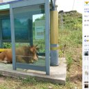 동일2리 이미지