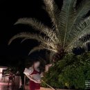 쁘띠호텔 | 제주 태교여행 : 신라호텔 임산부 수영장 쁘띠카바나 풀사이드바 후기