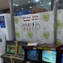 숲속랜드네일아트