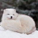 서라벌유치원 이미지