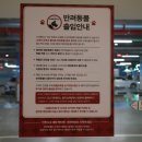 식후땡수제담배 | 하남 스타필드 애견동반식당 데블스도어 의외야