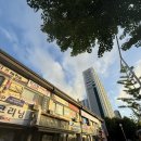 골드슈가링 | 범계왁싱 브라질리언 재방문한 안양 골드슈가링 상세 후기