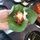 용두동쭈꾸미청년 네이버블로그