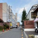 녹지로 | 광주 동명동 술집 분위기 좋고 안주가 맛있는 [녹지] 방문 후기