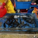 영일상회 이미지