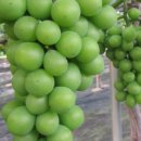 국산1길 이미지