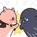 한국타이어밀양점 이미지