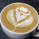 라떼아트 야간 | 분당커피학원추천, 라떼아트 국비지원으로 배우는 법