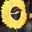 해바라기PC방 이미지