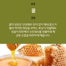 ◇계피가루와 꿀의 15가지 효능 ◇ 이미지