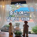 충남 예산 예당 저수지 달팽이 카페