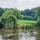 야탑서울동물병원 이미지