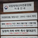 방태산마당바위민박 | 겨울인제여행 숙소 ; 국립 방태산 자연휴양림, 시설좋은 연립동 사용후기