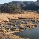 봉화1농장 이미지