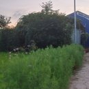 구월햇살농장 이미지