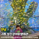 구례 가볼만한곳 섬진강어류생태관 물고기 체험