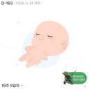 마미유의원 | [부모가 되는 과정] ep4. 16주차 성별을 알게 되다