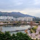 치유행정사 이미지