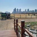 송도 달빛공원 인천송도파크골프장 이미지