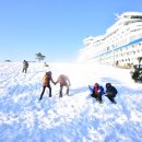 새하얀목장 이미지