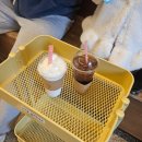 초예유치원 | 수성구 아이와 방문가능한 애견카페 반려견유치원 개팔상팔
