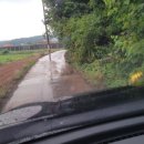 용인씨씨승마클럽 이미지