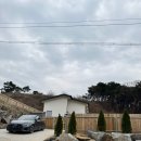 까사드만수 | 원주 애견펜션 추천 까사드만수｜3견 동반 가능, 넓은 잔디마당